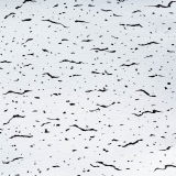 PVC Gypsum Board Film